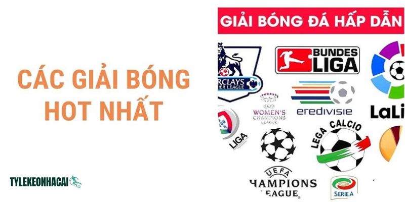 Tại grrobubble.co luôn cập nhật đầy đủ lịch mọi giải đấu bóng